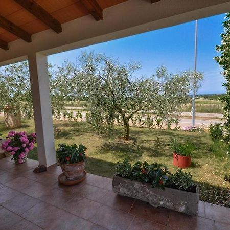 Angela Apartman Novigrad Istria Kültér fotó