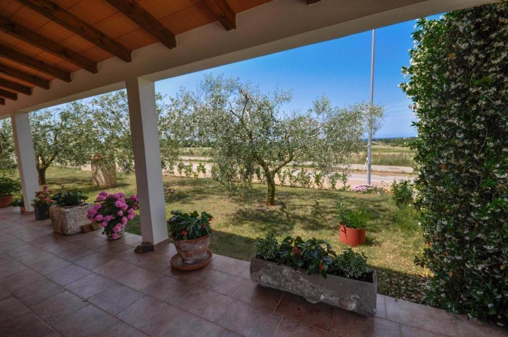 Angela Apartman Novigrad Istria Kültér fotó