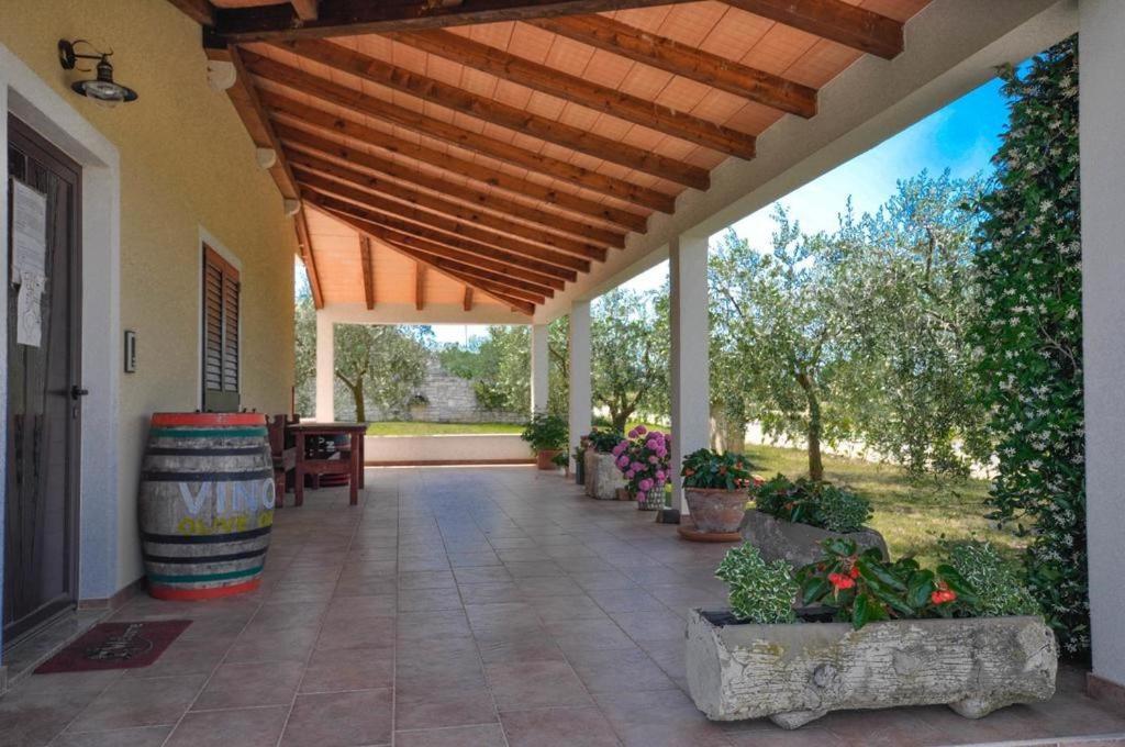 Angela Apartman Novigrad Istria Kültér fotó
