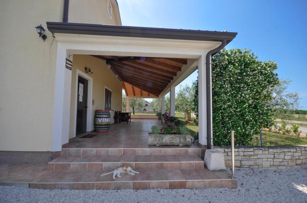 Angela Apartman Novigrad Istria Kültér fotó