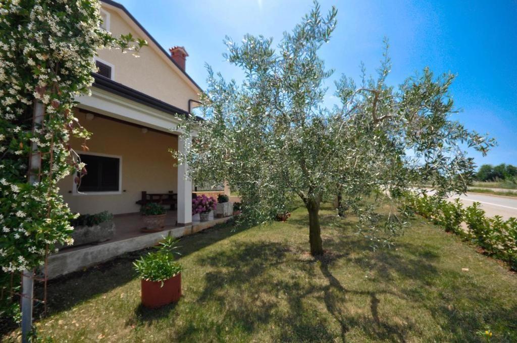 Angela Apartman Novigrad Istria Kültér fotó